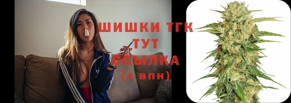 ПСИЛОЦИБИНОВЫЕ ГРИБЫ Балахна