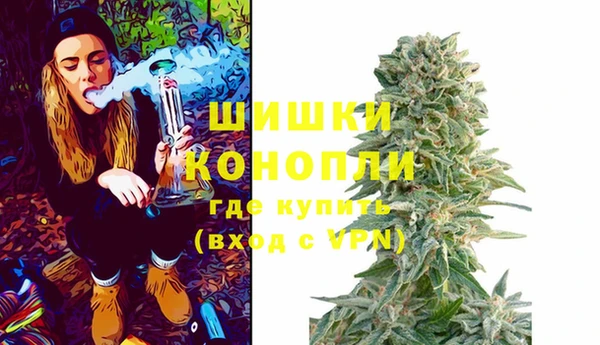 ПСИЛОЦИБИНОВЫЕ ГРИБЫ Балахна