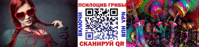 купить наркоту  Озёры  Псилоцибиновые грибы ЛСД 